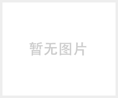 青岛力控1000吨四柱双缸热压机